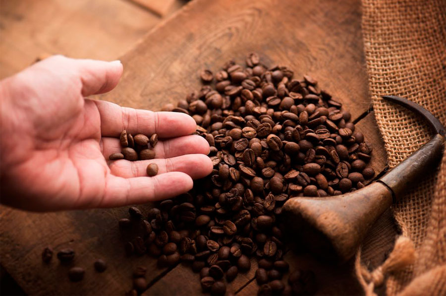 a firenze nasce un master universitario sul caffe jolly caffe